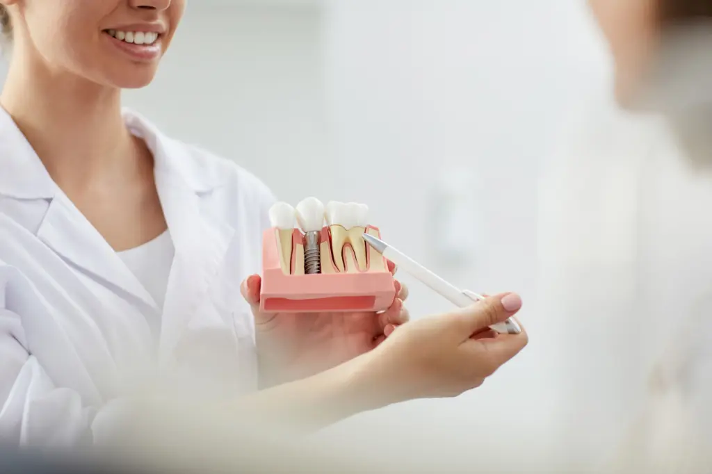 dentist showing dental implant model